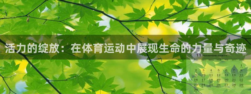 中欧鼎利C怎么样：活力的绽放：在体育运动中展现生命的力量与奇迹