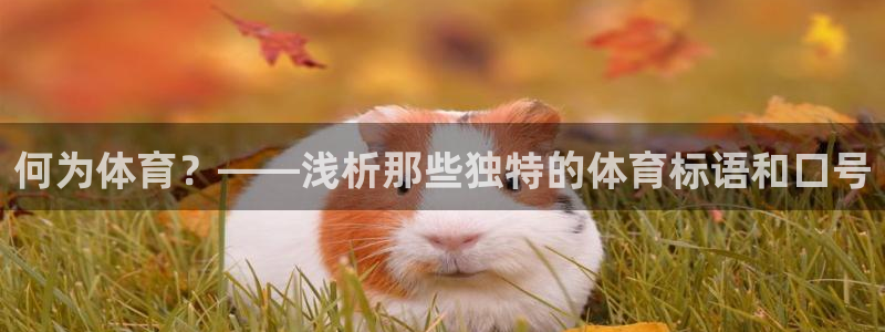 中欧建交：何为体育？——浅析那些独特的体育标语和口号