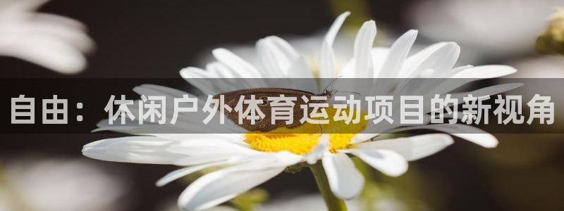 中欧磐固债券型证券投资基金：自由：休闲户外体育运动项目的新视角