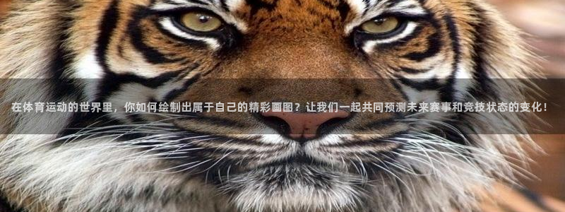 中欧鼎利债券c怎么样：在体育运动的世界里，你如何绘制出属于自己的精彩画图？让我们一起共同预测未来赛事和竞技状态的变化！