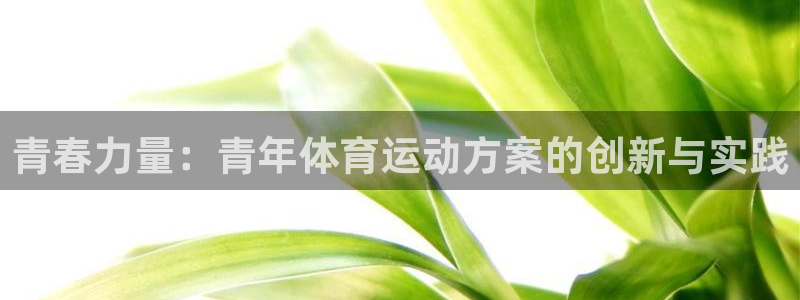 中欧dba学费一年多少钱：青春力量：青年体育运动方案的创新与实践