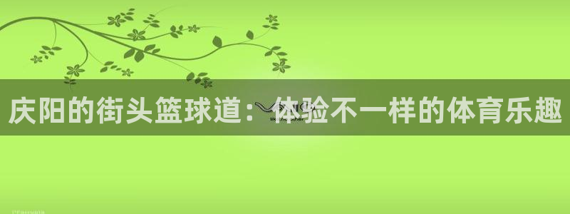 中欧MDP班是什么班：庆阳的街头篮球道：体验不一样的体育乐趣