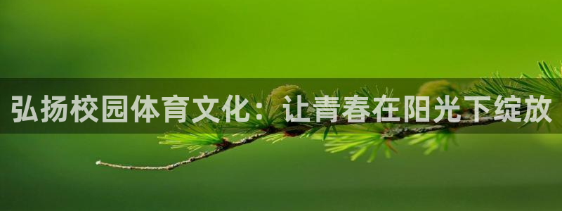 中欧列车线路图：弘扬校园体育文化：让青春在阳光下绽放
