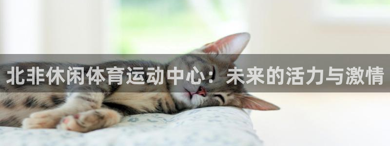 中欧emba学费：北非休闲体育运动中心：未来的活力与激情
