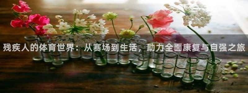中欧风格装修图片：残疾人的体育世界：从赛场到生活，助力全面康复与自强之旅