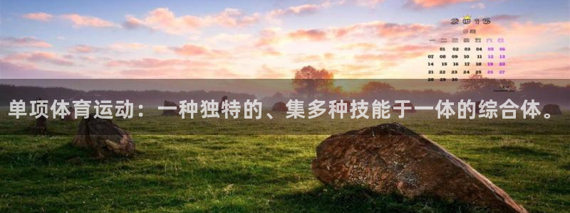 中欧体育在线：单项体育运动：一种独特的、集多种技能于一体的综合体。
