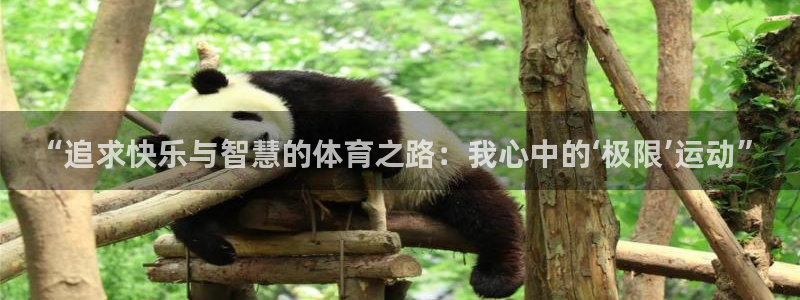 中欧合作：“追求快乐与智慧的体育之路：我心中的‘极限’运动”