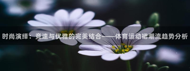 中欧全面投资协定：时尚演绎：竞速与优雅的完美结合——体育运动裙潮流趋势分析