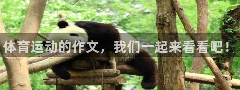 中欧c今天最新净值是多少：体育运动的作文，我们一起来看看吧！